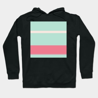 A peerless recipe of Pale Chestnut, Powder Blue, Misty Rose and Light Coral stripes. Hoodie